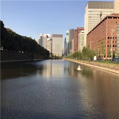 经典牛牛app下载