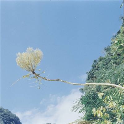 PG麻将胡了免费版