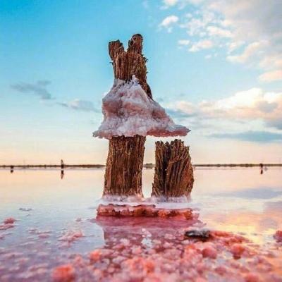 斗牛棋牌下载手机版