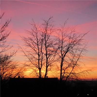 888电玩城游戏厅app下载